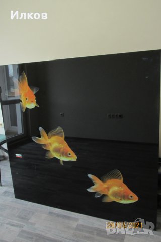 пано златни рибки принт на стъкло 