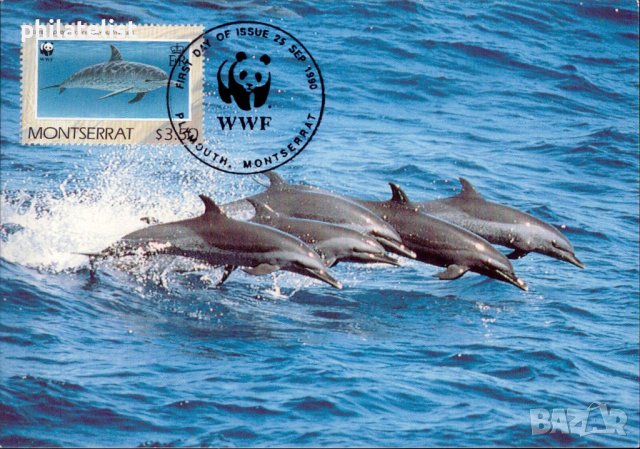 Монтсерат 1990 - 4 броя Карти Максимум - WWF, снимка 3 - Филателия - 38890706