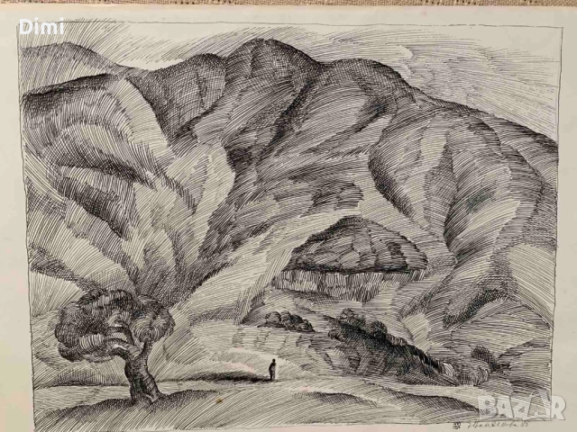 ЕЛКА НАЙДЕНОВА пейзаж – туш, снимка 6 - Картини - 52804184