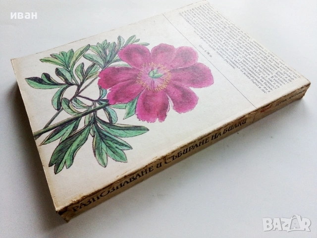 Разпознаване и събиране на билки - Борис Китанов - 1987г., снимка 9 - Енциклопедии, справочници - 53281460