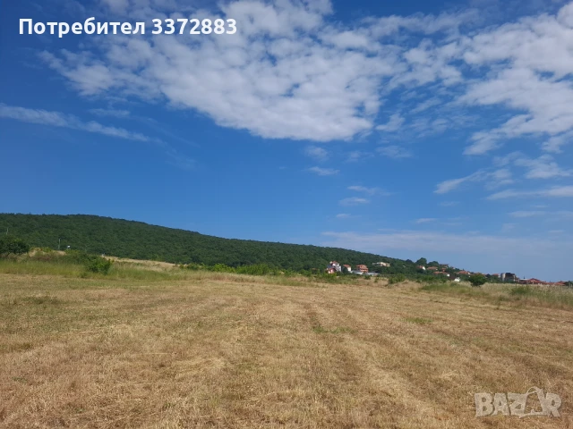 Инвестиционен парцел в регулация 6 113 м² - Кошарица | В регулация, до велоалея и асфалтов път, снимка 6 - Парцели - 50853506