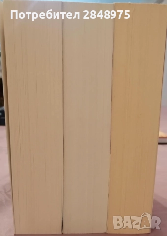 Трилогията Бьорнстад на Фредрик Бакман, снимка 3 - Художествена литература - 52745609