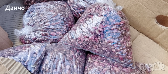 Продавам разсад-ягоди малини лозе алое Вера маруля стари сортовете семена картофи и де, снимка 3 - Разсади - 52309815