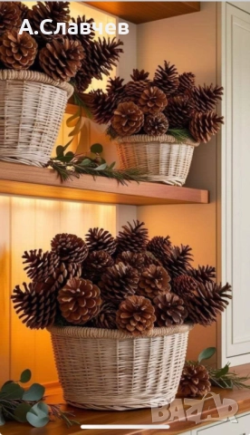 Шишарки за декорация