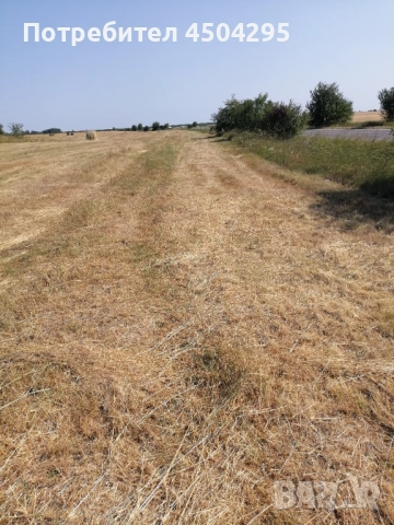 УПИ в землището на село Долно Церовене обл Монтана , снимка 3 - Парцели - 52488658