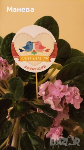 Послание на клечка , снимка 12 - Декорация за дома - 39305794