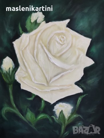 Бяла роза маслена картина