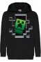 Детски Суитчър/Суитшърт Minecraft creeper,Minecraft,Игра,Подарък,Изненада,Забавление,Рожден Ден, снимка 1