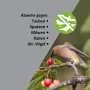 ISOTRONIC® Ултразвуково соларно устройство за прогонване на птици, снимка 3