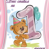 Бебешки фото карти, подарък за бебе момиченце, снимка 9 - Други - 36966349