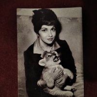 Картичка снимка иатлианската актриса Джина Лобриджида, снимка 1 - Колекции - 43587030
