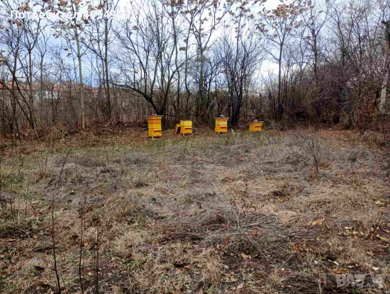 Дворно място, снимка 1