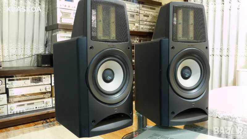 SONY SA-EX100, снимка 1