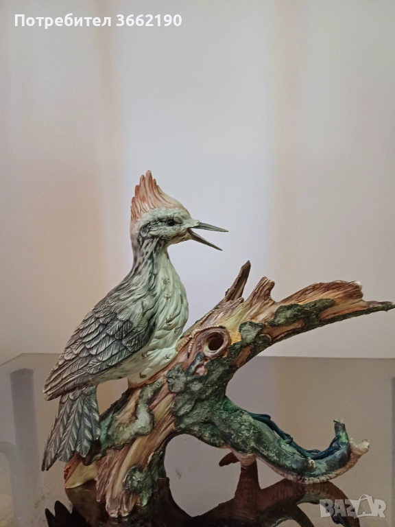 Порцеланов кълвач, снимка 1