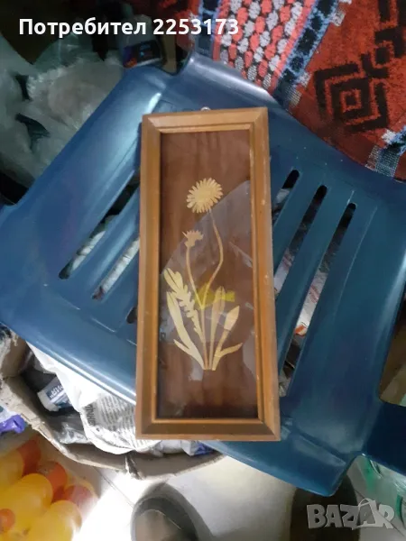 Пано хербарий в рамка, снимка 1