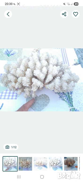 Морски артикули декорация , снимка 1