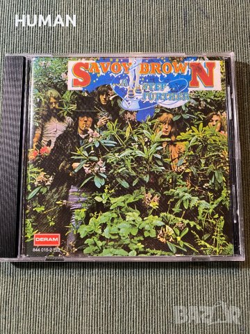 American Amboy Dukes,Savoy Brown, снимка 6 - CD дискове - 43525639