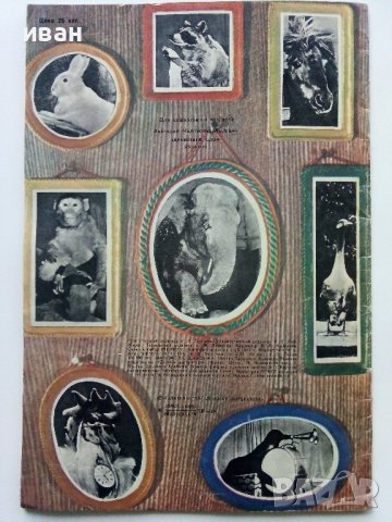 Здраствуй,слон! - Виктория Кудрина - 1978г., снимка 6 - Детски книжки - 43091221