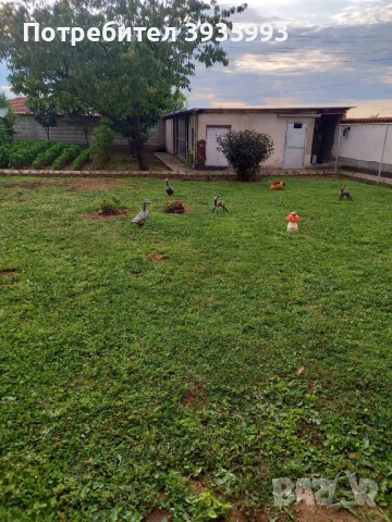 Продавам КЪЩА в с.Боянци, общ. Асеновград, обл. Пловдив, снимка 12 - Къщи - 53092809