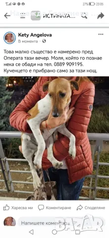 Хотел за котки ,кучета, зайци, гризачи и птици, снимка 6 - Ветеринари и услуги - 48148760