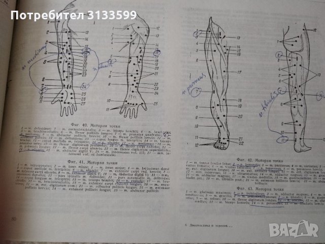 ДИАГНОСТИКА и ТЕРАПИЯ с нискочестотни токове, доц. д-р Йорданка Цачева, к. м. н., снимка 4 - Специализирана литература - 34758458