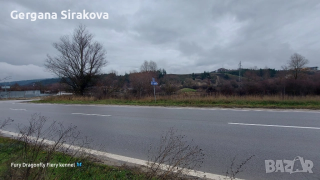 Земеделска земя, снимка 2 - Земеделска земя - 52606353