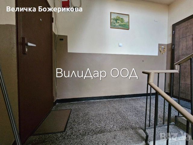 Почистване на входове, снимка 3 - Почистване на входове - 52151258