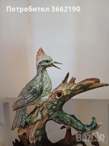 Порцеланов кълвач