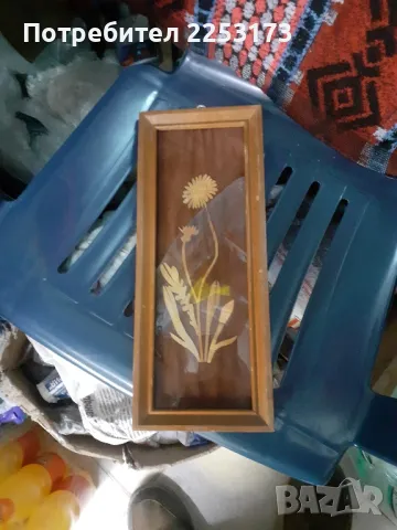 Пано хербарий в рамка