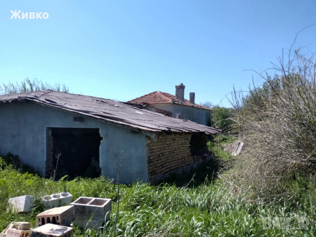 Голям имот в село Щипско, област Варна , снимка 5 - Къщи - 52637656