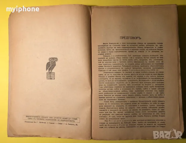 Стара Книга Последна радост/Бенони/Роза // Кнут Хамсун, снимка 7 - Антикварни и старинни предмети - 49279488