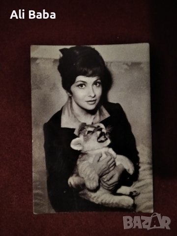 Картичка снимка иатлианската актриса Джина Лобриджида