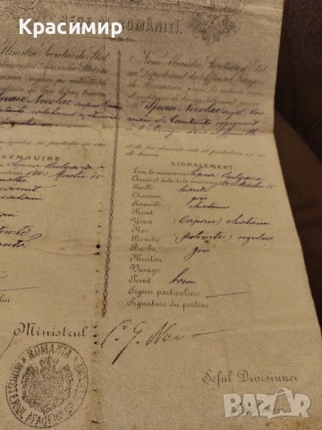 Румънски Паспорт 1904 г., снимка 10 - Други ценни предмети - 52484982