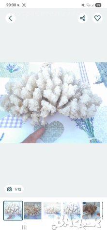 Морски артикули декорация 