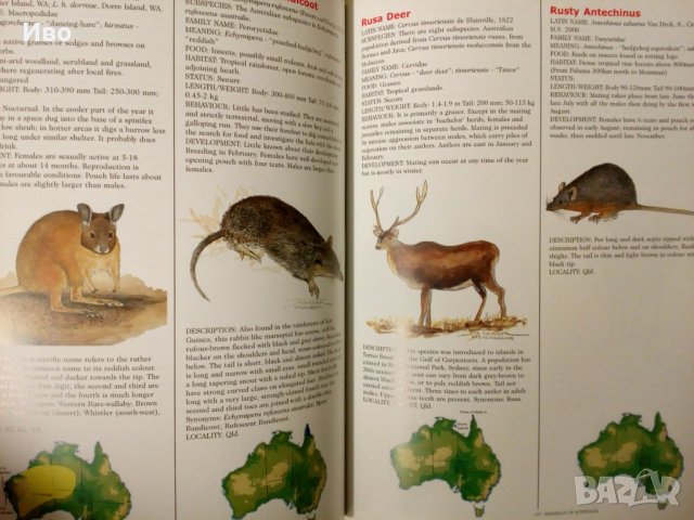 Super Nature-250стр+mammals.2бр книги, снимка 6 - Детски книжки - 39748171