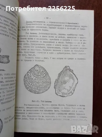 Ръководство за упражнения по палеонтология и исторична геология , снимка 2 - Специализирана литература - 50427727