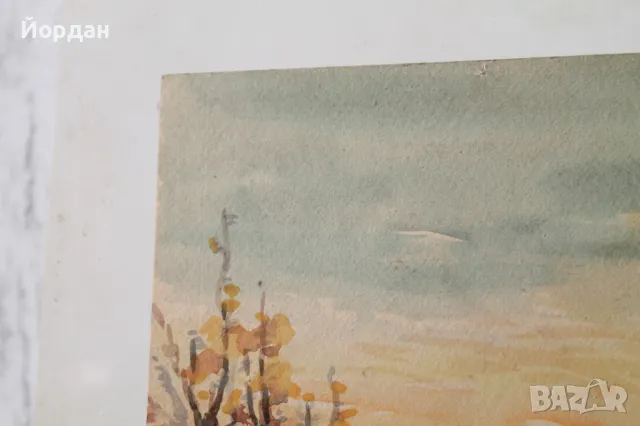 Акварел /автор-Никола Пилчев/ ''Старопланинска черешарка'', снимка 7 - Картини - 49131538