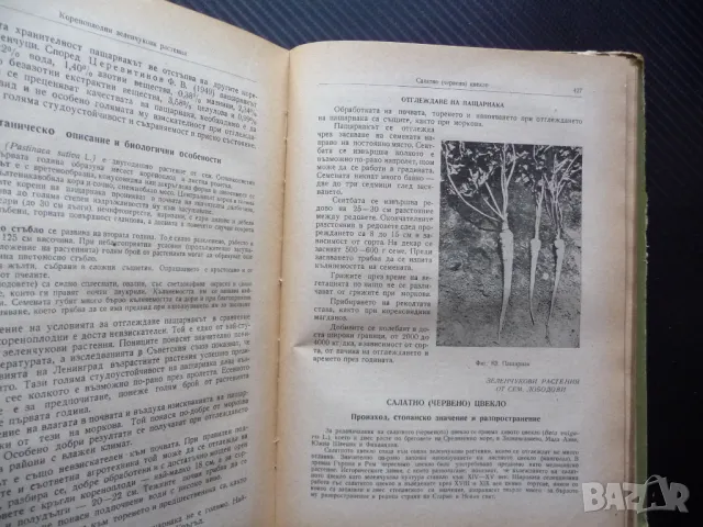 Зеленчукопроизводство Хр. Даскалов, Н. Колев зеленчуци градини домати краставици пипер, снимка 4 - Специализирана литература - 50078543