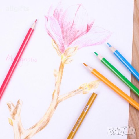 Комплект от 72, 120 и 160 цветни маслени моливи - луксозно решение за художници и любители на рисува, снимка 8 - Рисуване и оцветяване - 43179951