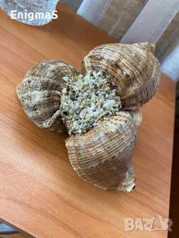 Порцеланова Статуетка Кон, снимка 5 - Други ценни предмети - 47523022