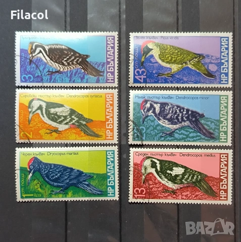 1978 (1 септември) Кълвачи.