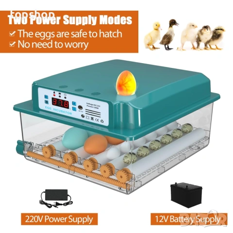 НОВ Auveach Автоматичен инкубатор за яйца Инкубатор за 16 кокоши яйца Автоматичен контрол..., снимка 6 - Други стоки за животни - 53186379