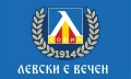 Знаме на ПФК Левски София, снимка 2