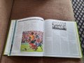 Книга Пълна Енциклопедия на Футбола, снимка 6