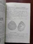 Ръководство за упражнения по палеонтология и исторична геология , снимка 2