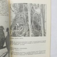 Книга Защитени птици в България - Таню Мичев, Никола Райков 1980 г., снимка 2 - Други - 32299916