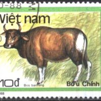 Клеймованиа марка Фауна Бантенг 1988 от Виетнам, снимка 1 - Филателия - 40503011