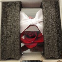 Истинска роза с огърлица, снимка 7 - Подаръци за жени - 43898794
