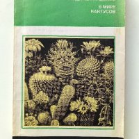 В мире кактусов - Р.Удалова,Н.Вьюгина - 1983 г., снимка 12 - Енциклопедии, справочници - 32651164