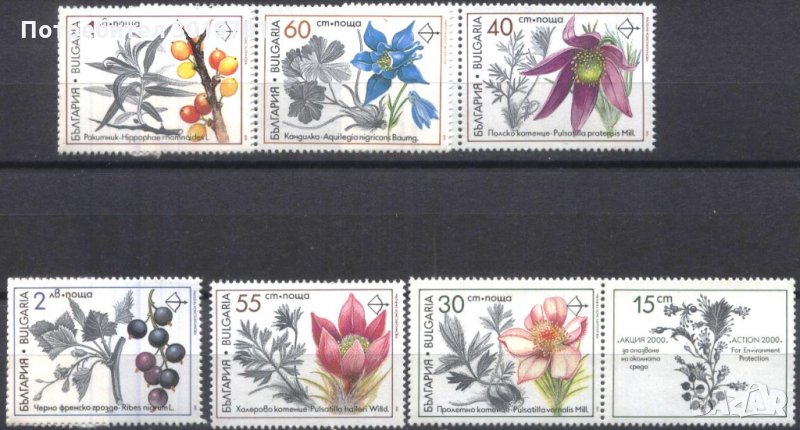 Чисти марки Флора Лечебни растения 1991 от България, снимка 1